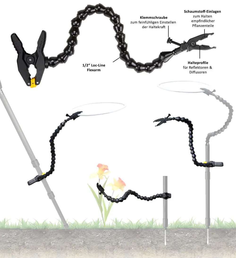Makrozubehör von Wimberley, die Plamp-Family