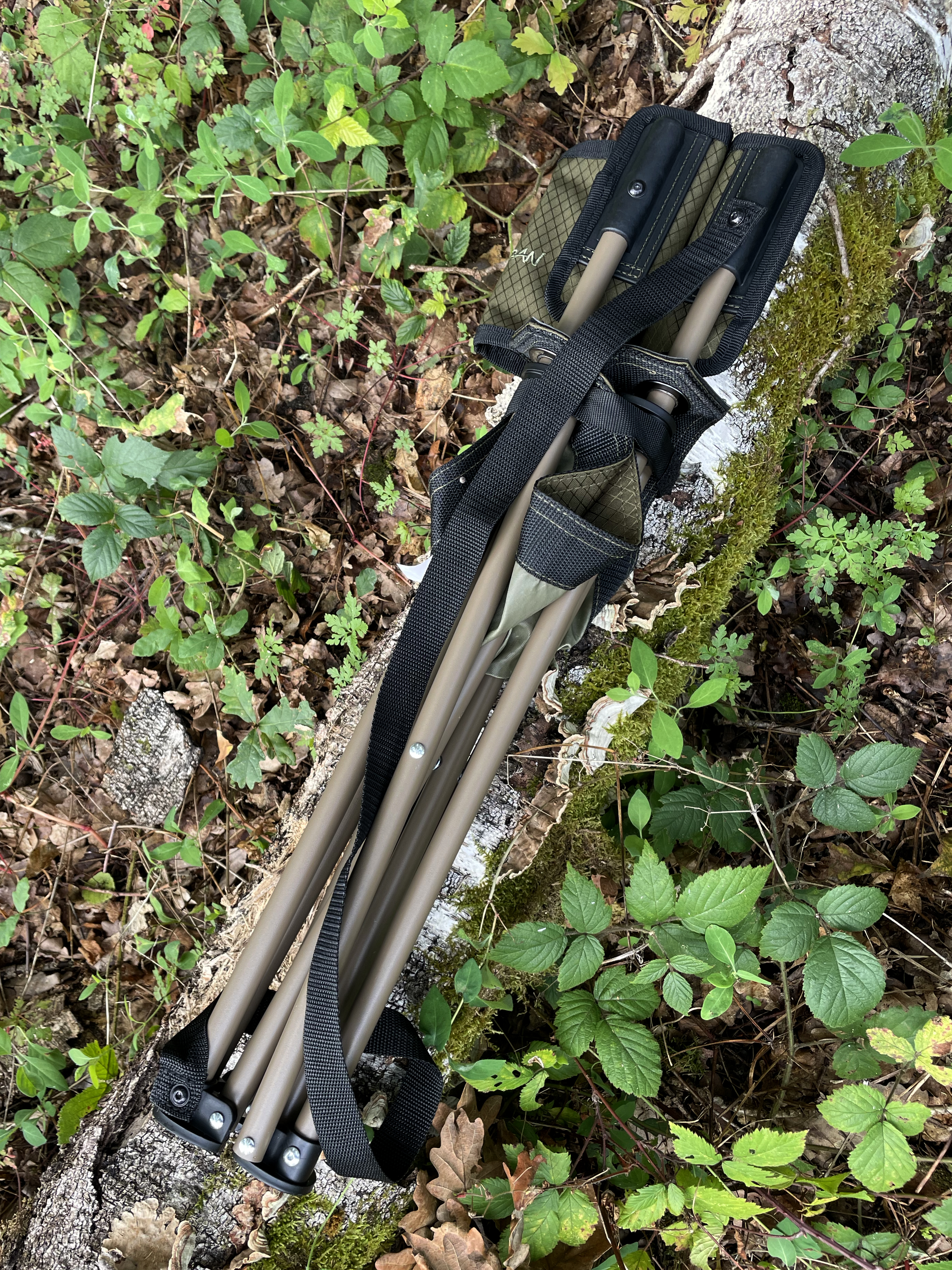 Tragopan Quail - sedia con schienale per tenda mimetica (compatta e ultraleggera)