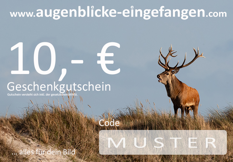 Geschenkgutschein 10 Euro - Gutschein Wert: 10 Euro