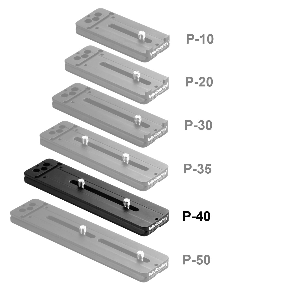 Piastra universale per obiettivo Wimberley P-40 (150 mm)