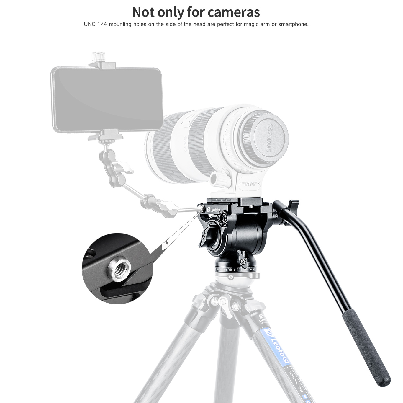 Leofoto BV-5  Fluid-Videoneiger