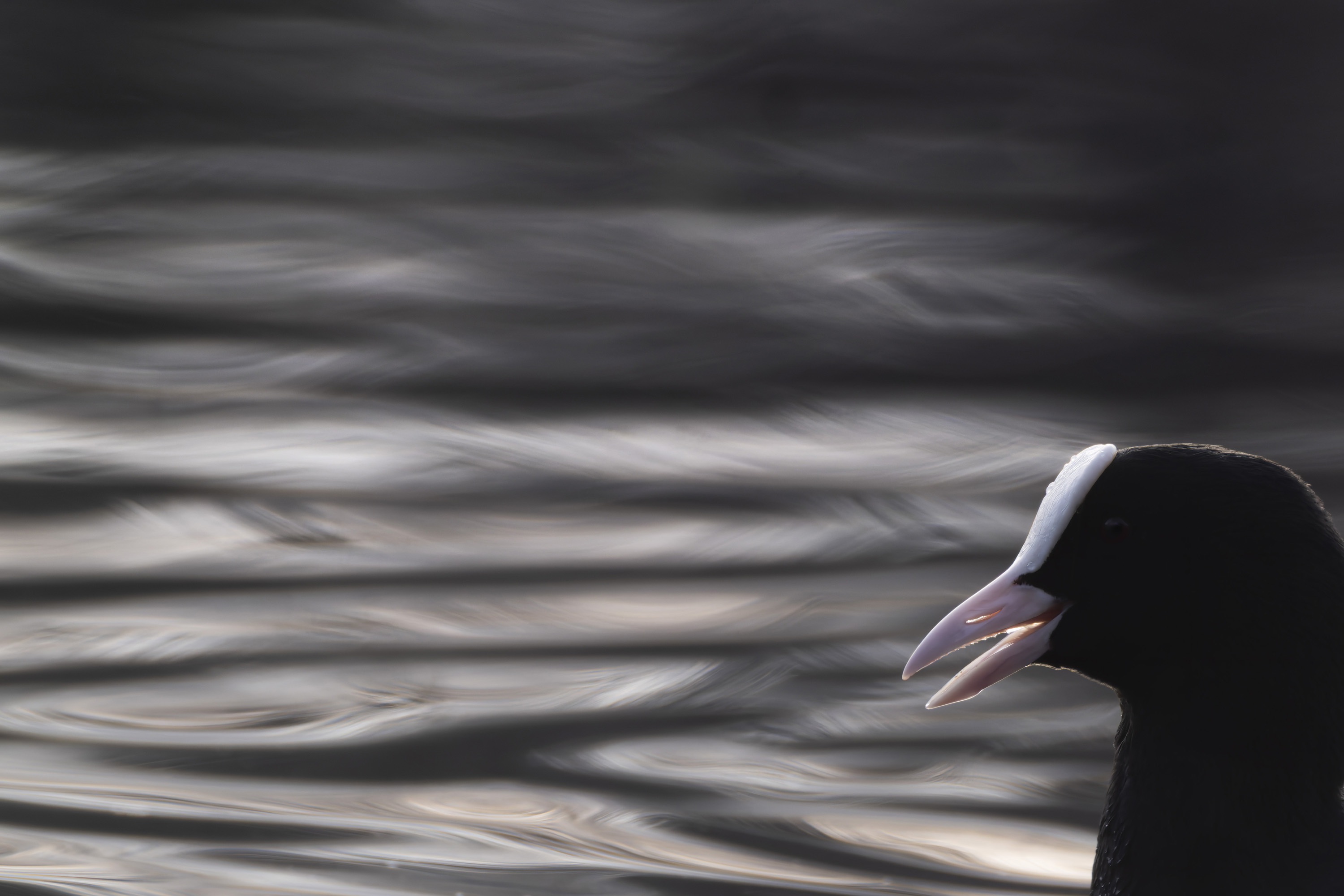 The perfect hoodie for your lens