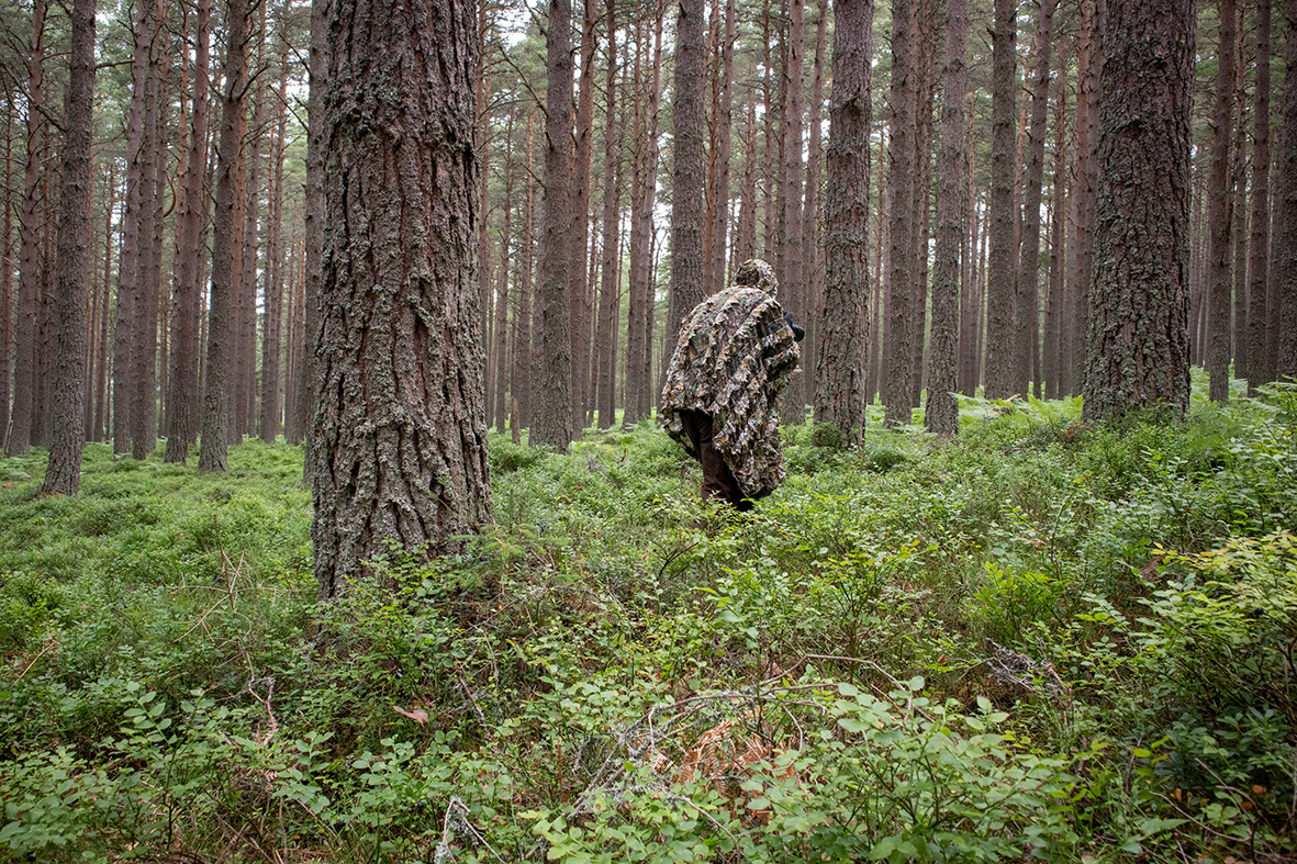 Tragopan 3D Camo - Poncho
