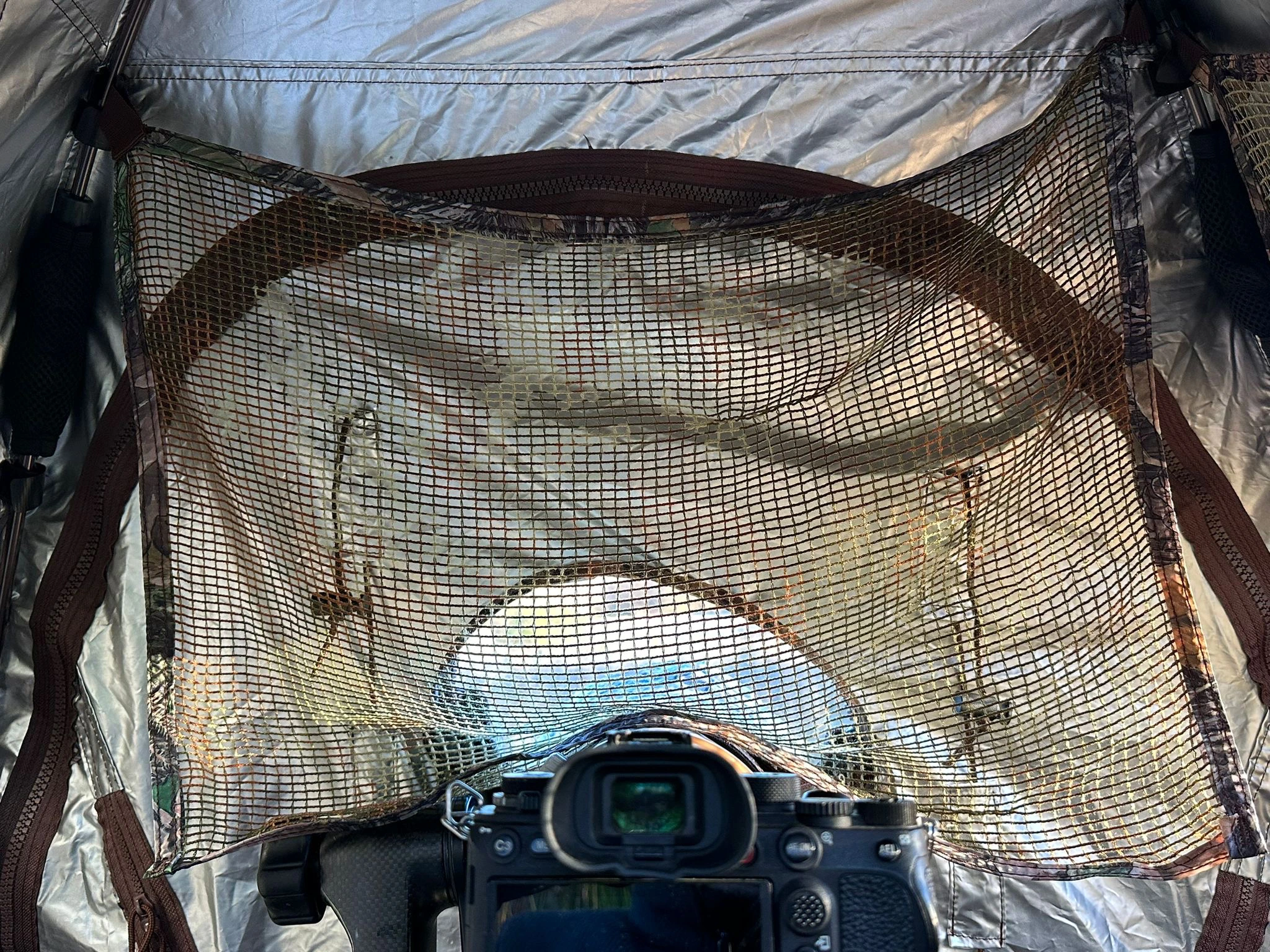 Tragopan V7 Tarnzelt mit  3 Türen