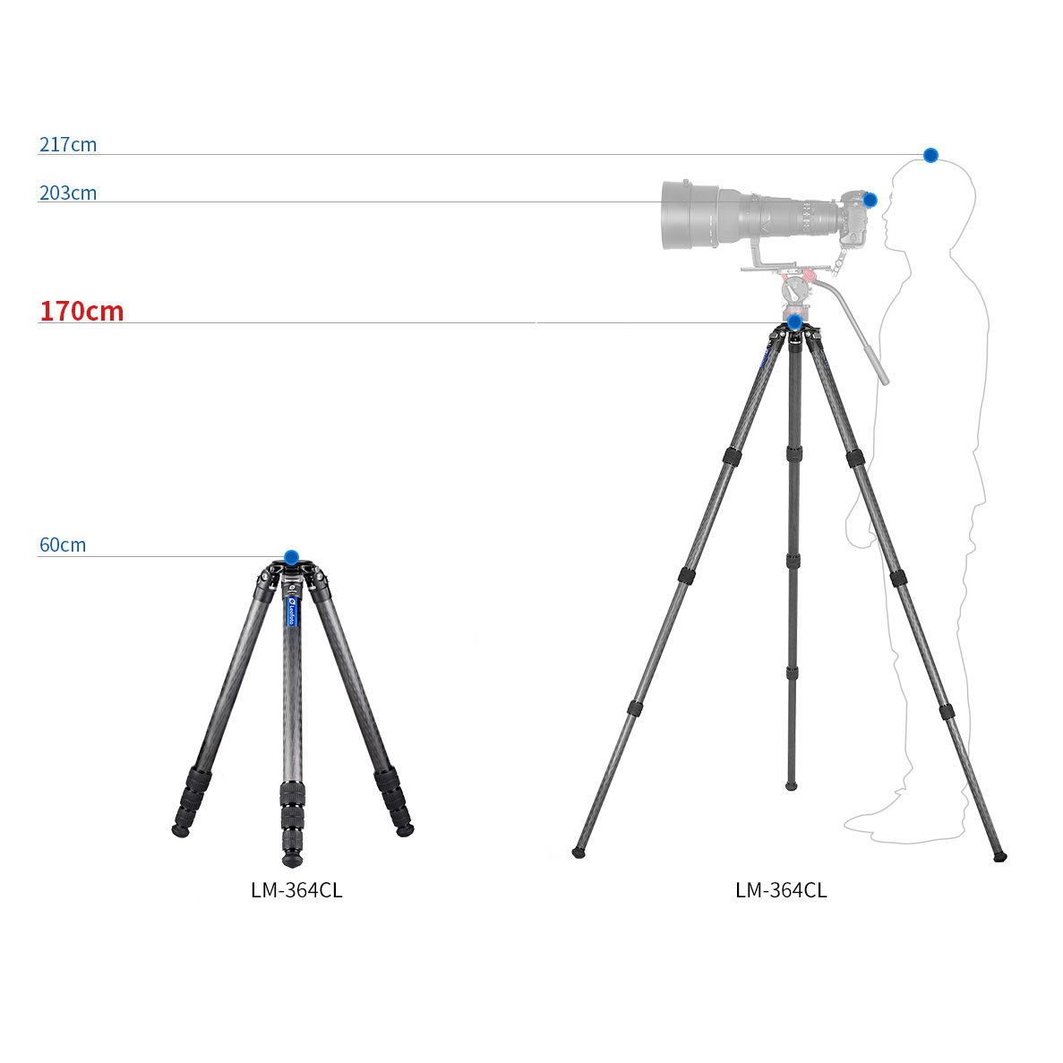 Leofoto LM-364CL Summit Karbon-Stativ