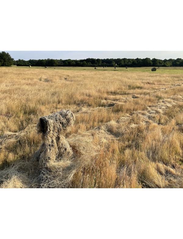 Tragopan Ghillie Beige Sleeve- Tarnung für kleine & mittlere Objektive