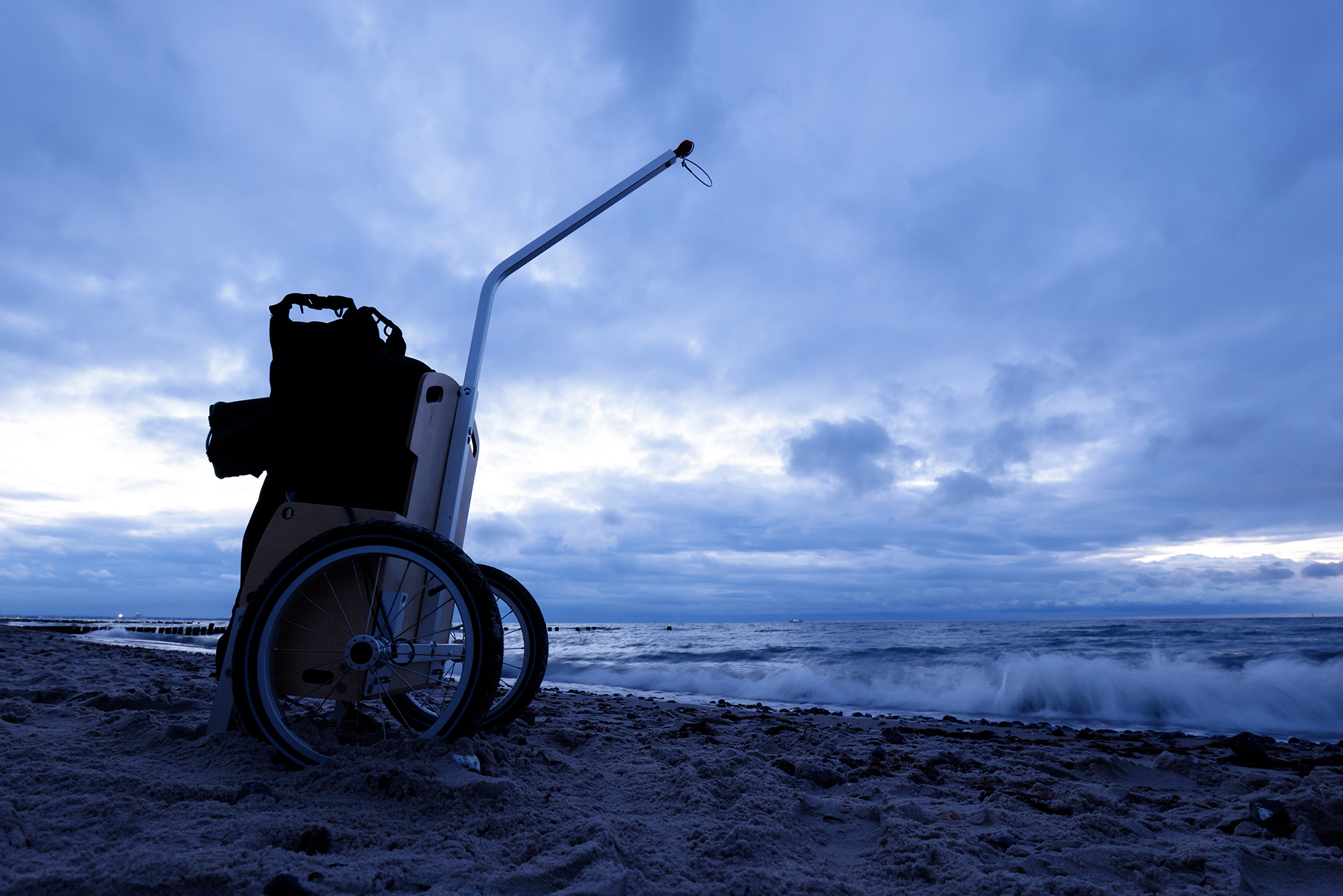 Carry Freedom Leaf - remolque de carga para bicicleta plegable