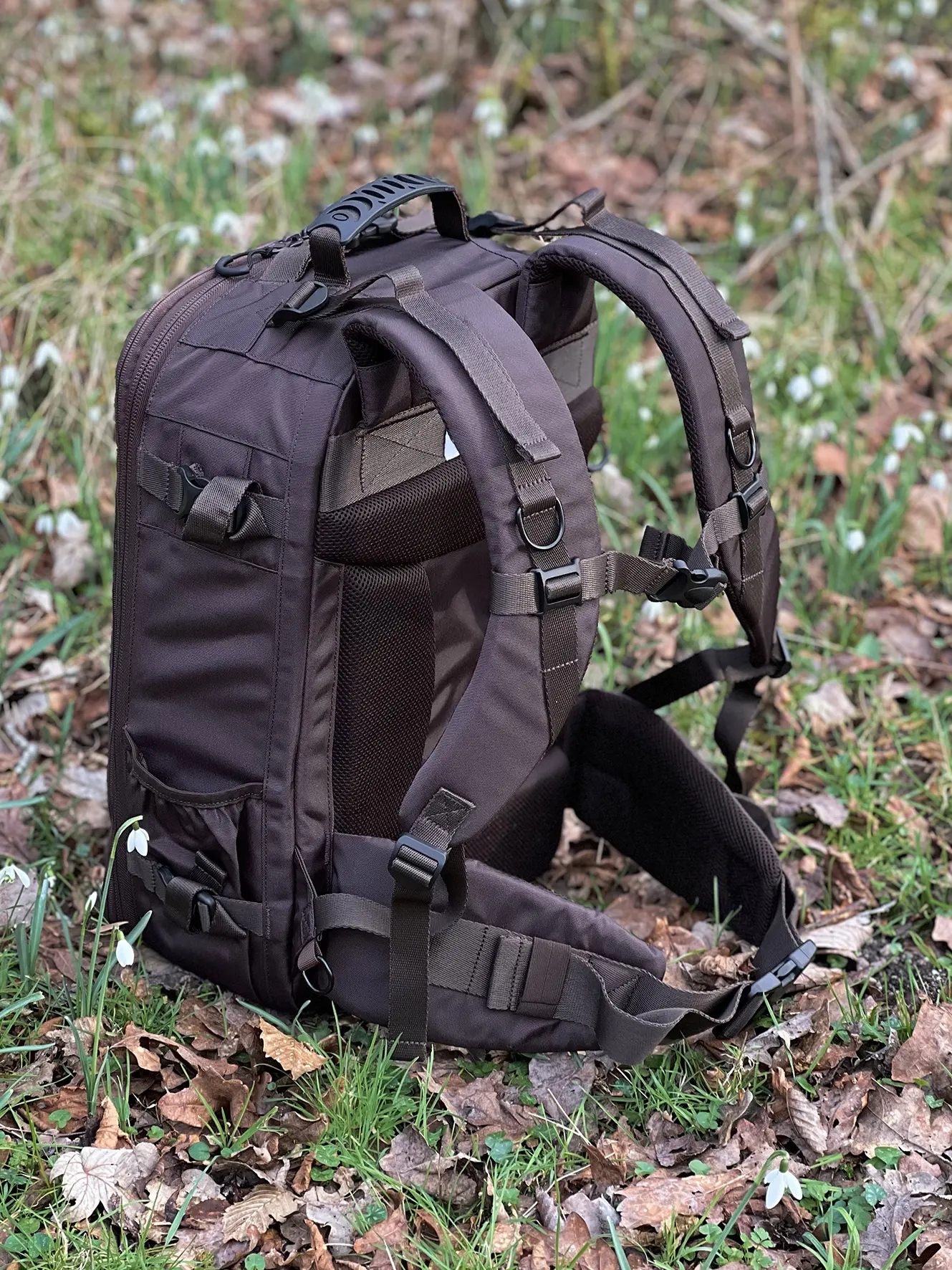 Tragopan Rucksack Tetras 500 V4
