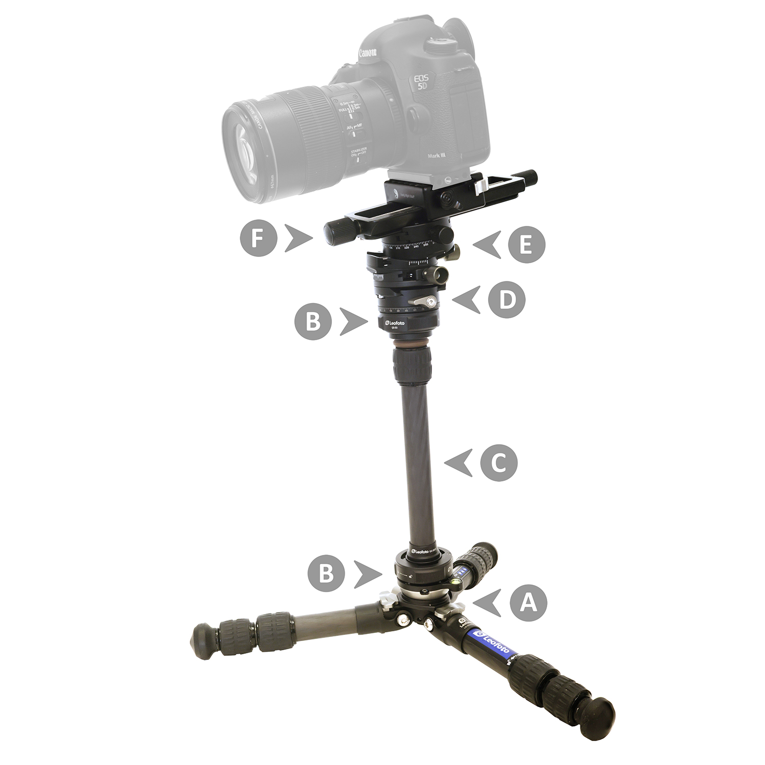 Makrofotografie vom Stativ - mein Lieblingsaufbau