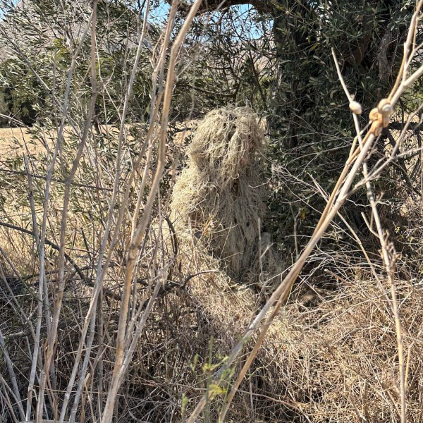 Tragopan Ghillie - Tarnmantel Beige