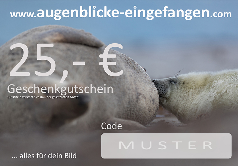 Geschenkgutschein 25 Euro - Gutschein Wert: 25 Euro
