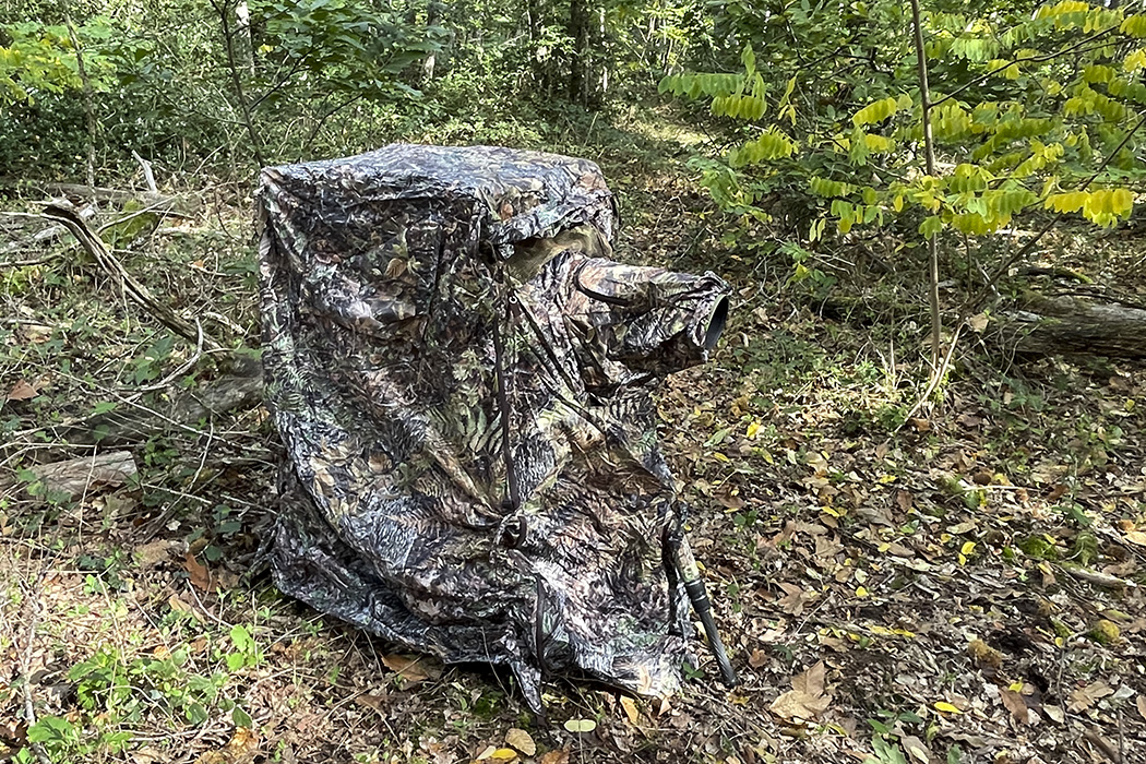 Tragopan Überzelt für Lagopus B & S