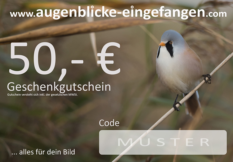 Geschenkgutschein 50 Euro - Gutschein Wert: 50 Euro