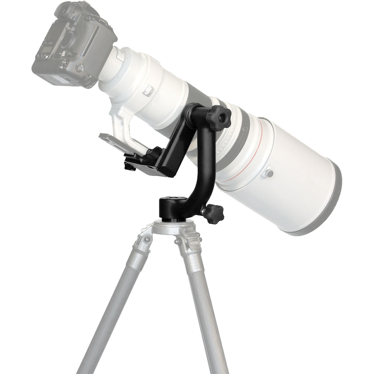 Wimberley Head WH-200 Version II ™ Tele-Neiger (Gimbal)