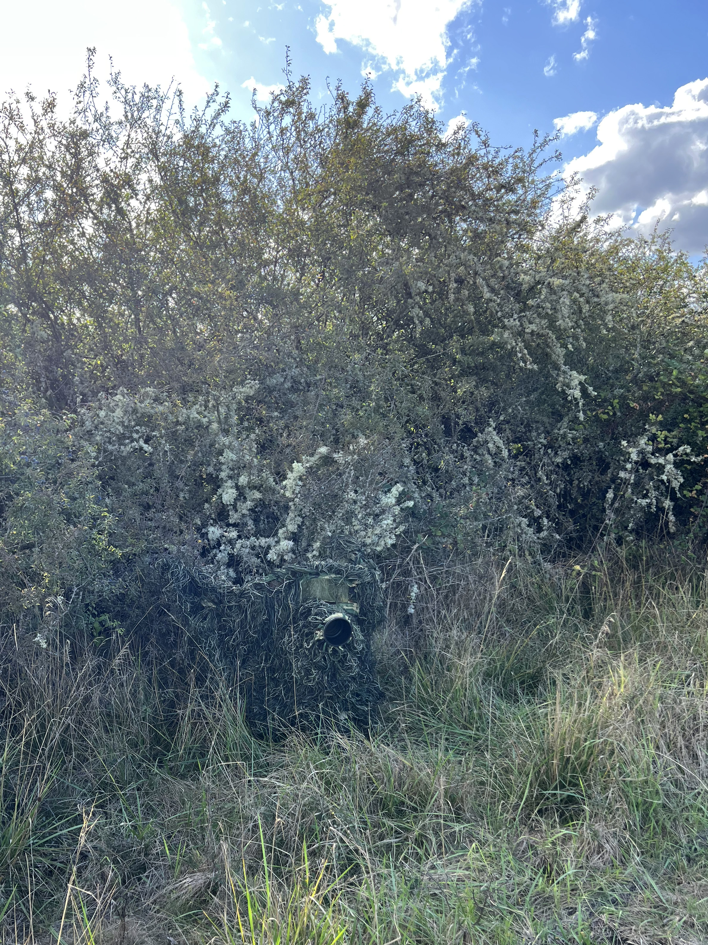 Tragopan G-Lynx Ghillie Komplett-Set G-Lynx Ghillie Complete Kit - Tragopan G-Lynx: G-Lynx Ghillie Complete Kit