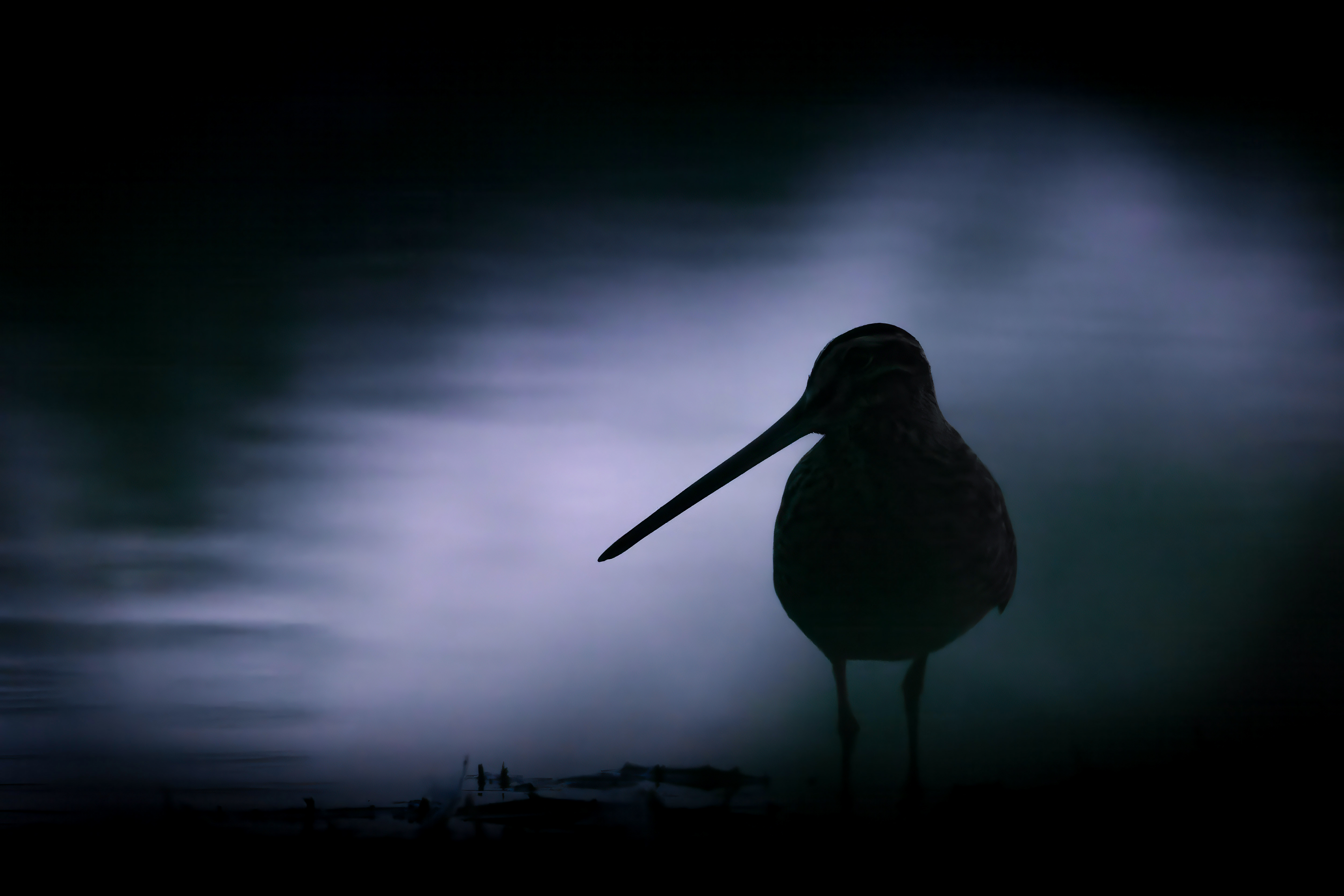 Vogelzug...  oder Fotografie im Liegen