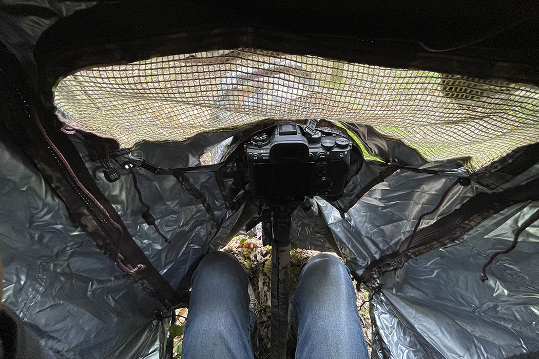 Tragopan Überzelt für Lagopus B & S