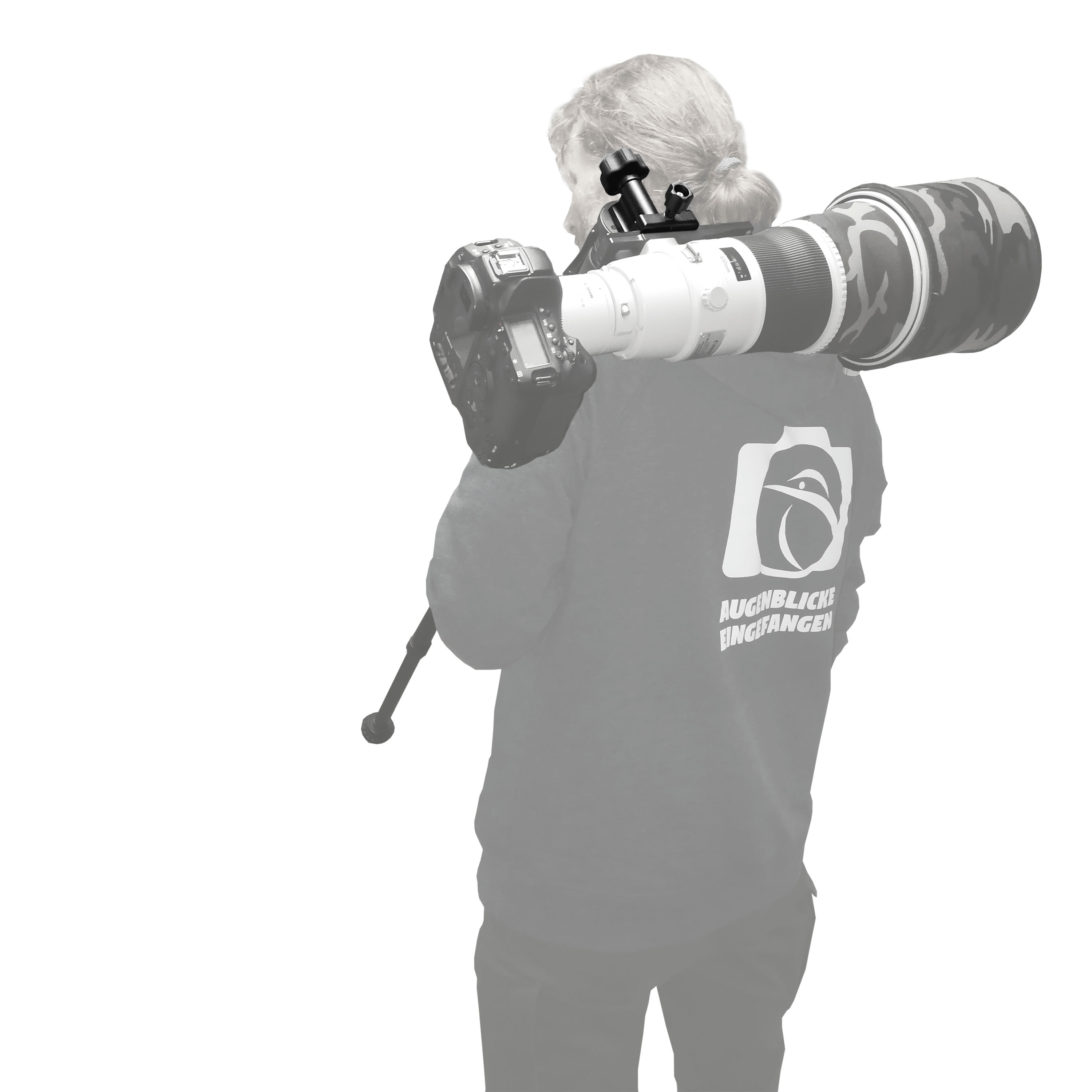 Wimberley MH-100 MonoGimbal Head Einweg Gimbal Neiger