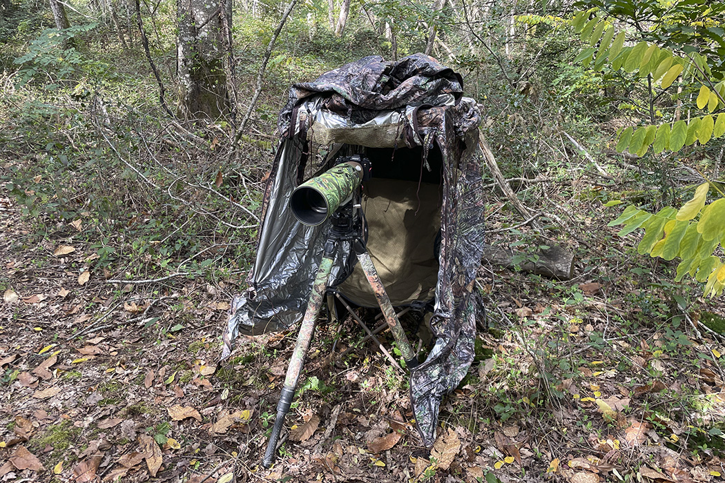 Tragopan Überzelt für Lagopus B & S