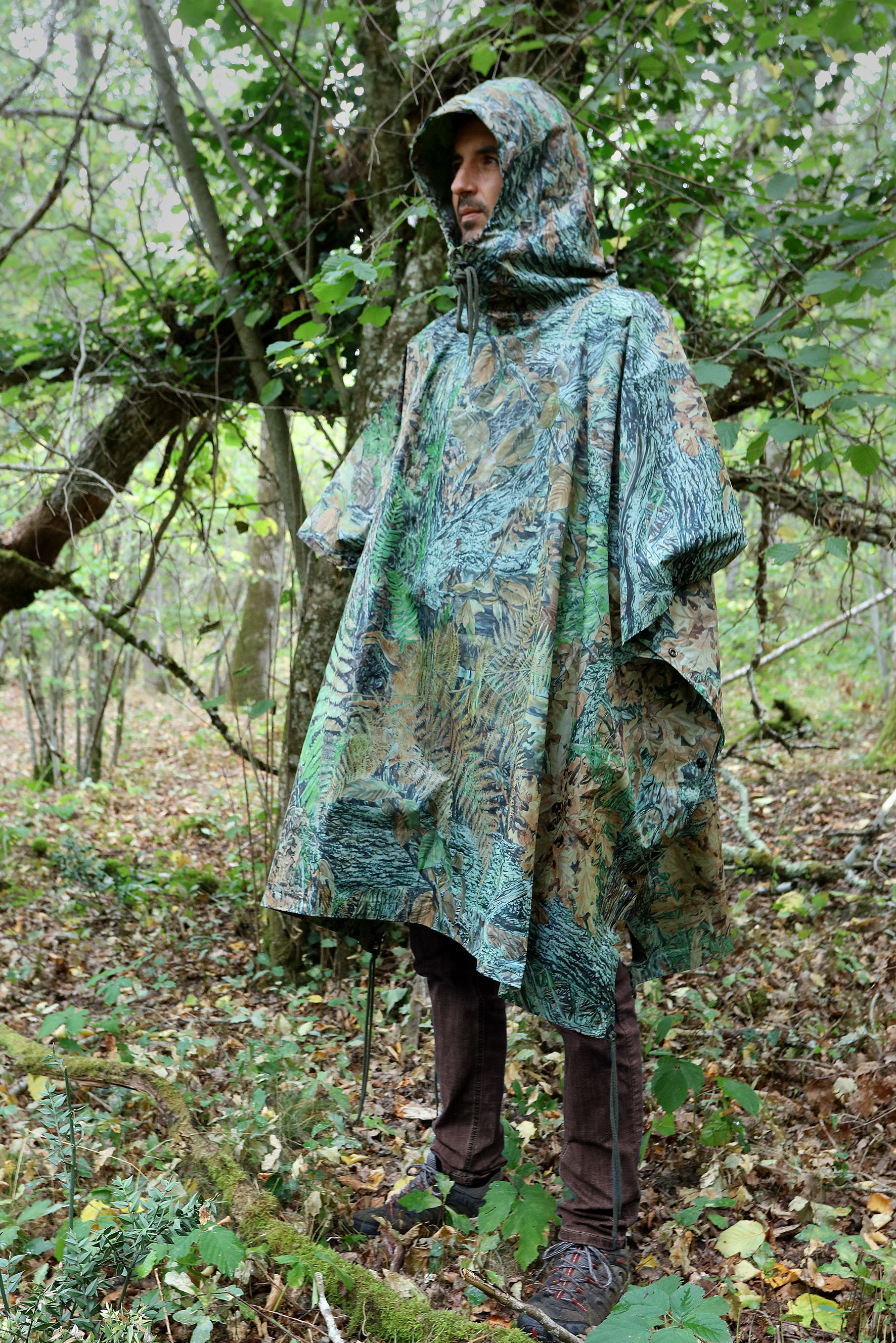 Tragopan Poncho V2
