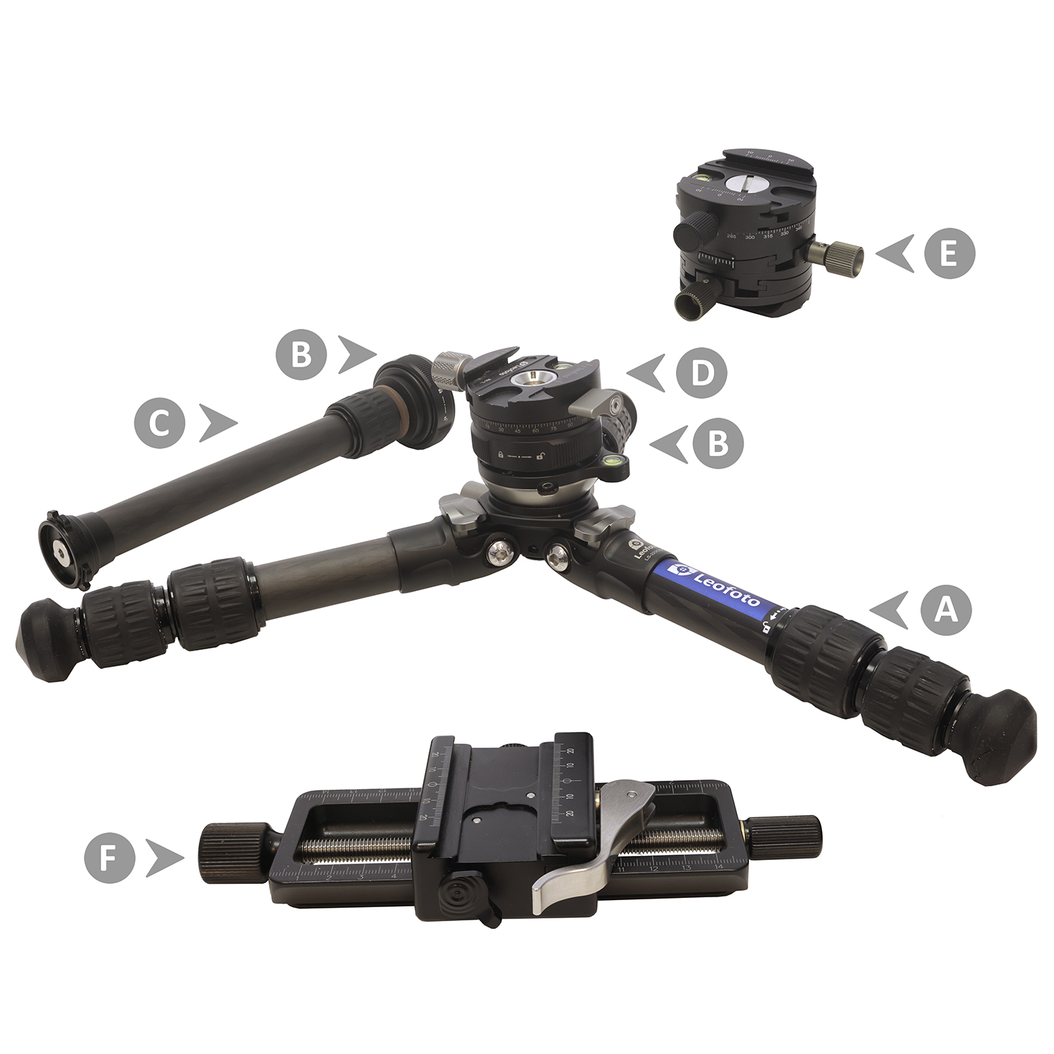 Makrofotografie vom Stativ - mein Lieblingsaufbau