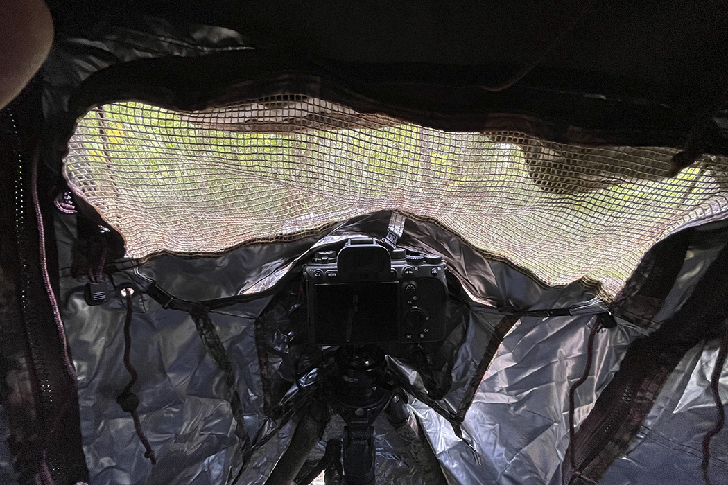 Tragopan Überzelt für Lagopus B & S