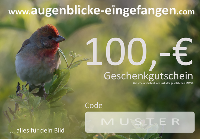 Geschenkgutschein 100 Euro - Gutschein Wert: 100 Euro