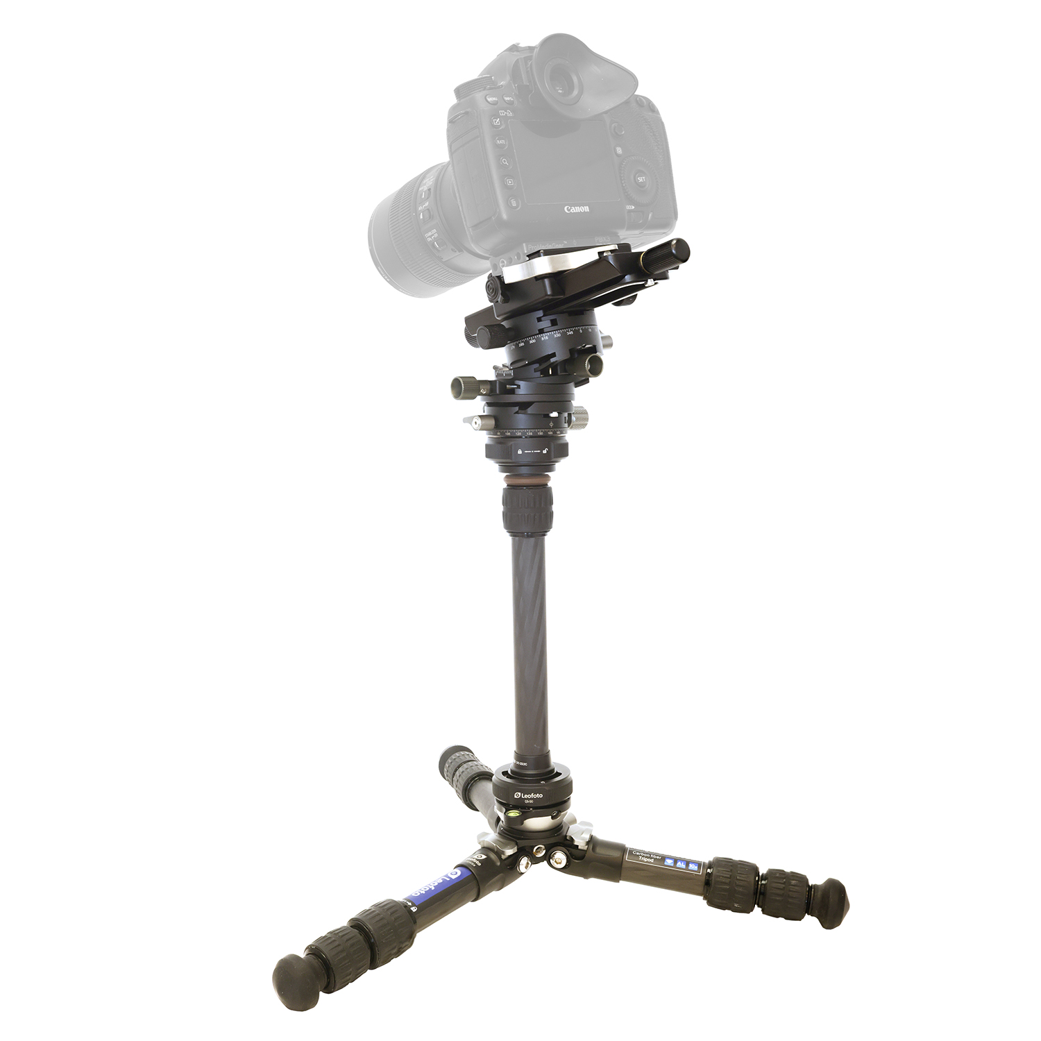 Makrofotografie vom Stativ - mein Lieblingsaufbau