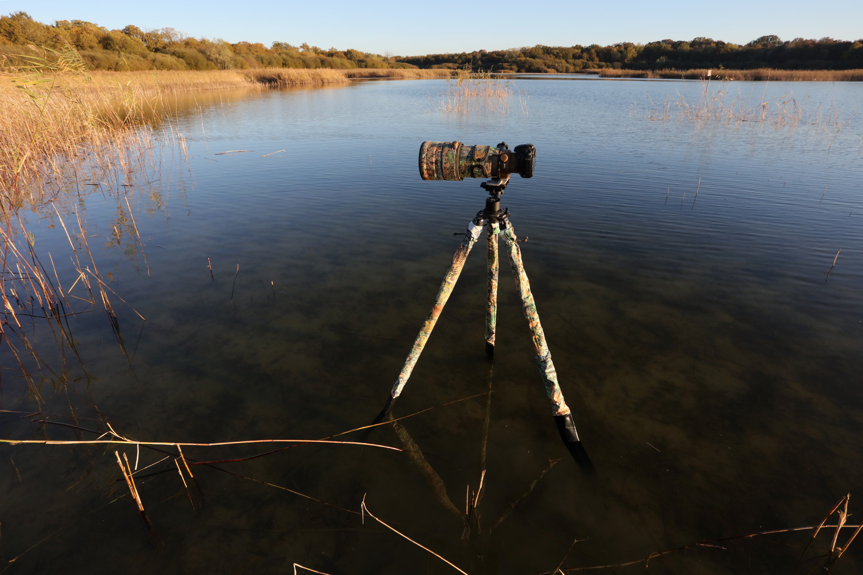 Camshield Avocet - wasserdichte Stativbeinüberzüge Autumn (All season) - Tarnmuster: Autumn (All season)