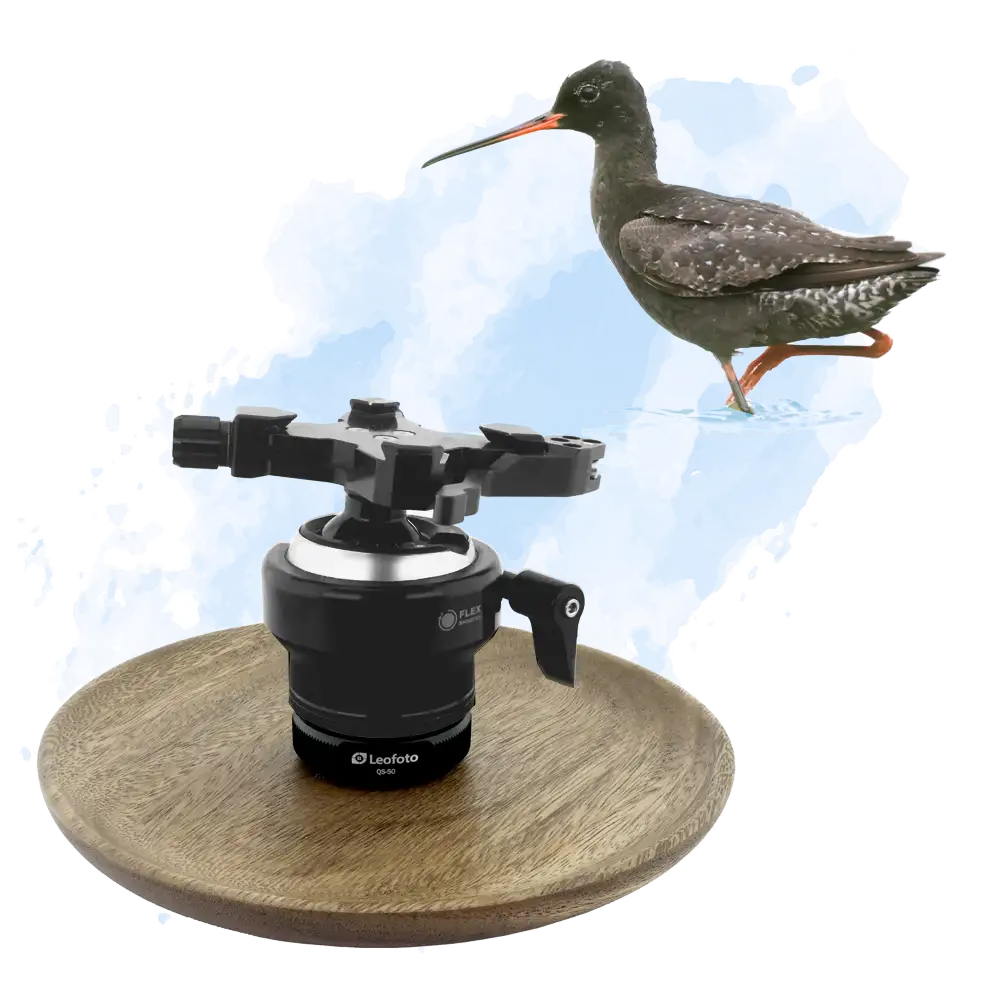 Vogelzug...  oder Fotografie im Liegen