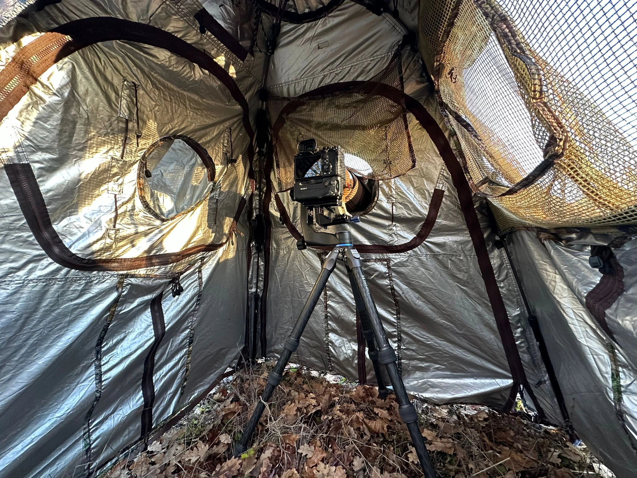 Tragopan V7 Tarnzelt mit  3 Türen