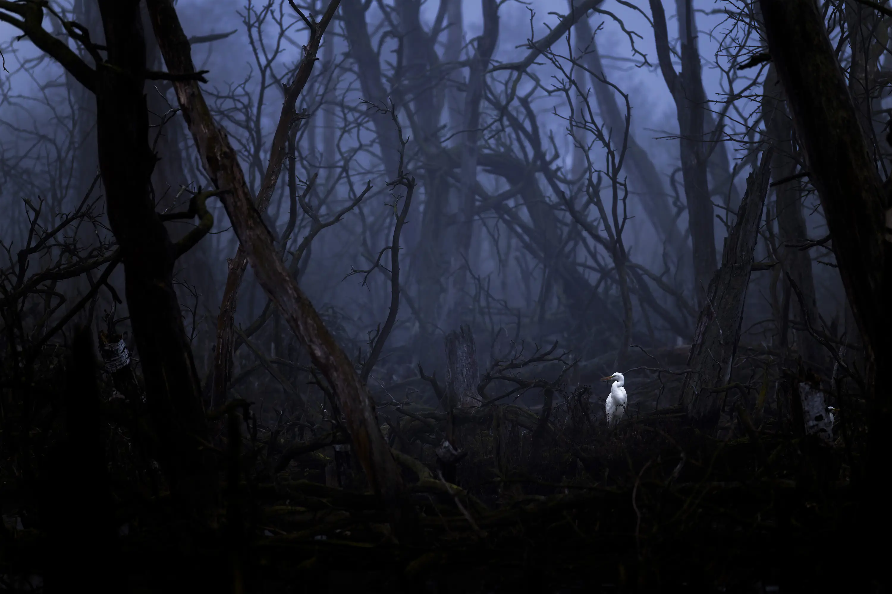 Was passt auf meinen Flexshooter?